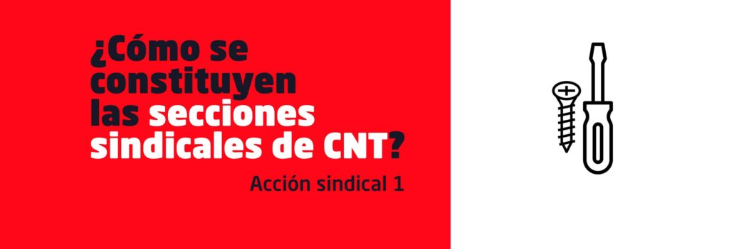Acción Sindical 1: las secciones sindicales