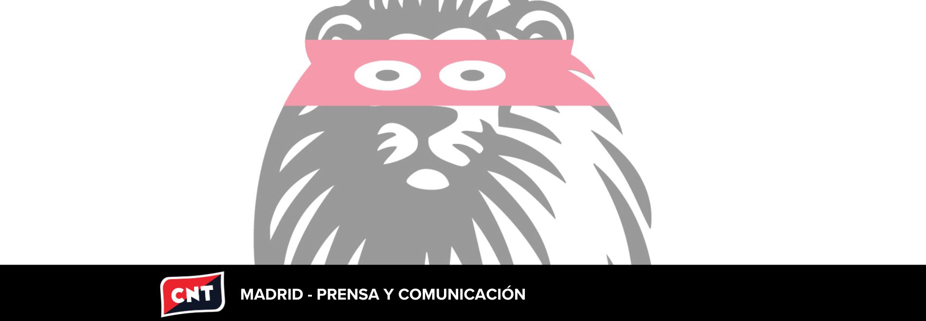 El Español pidió usar unas fotos, le dijeron que no y las publicó igualmente #NoConMisFotos #ElEspañolNoPaga